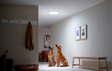 Świetliki tunelowe Velux - naturalne światło w każdym pomieszczeniu